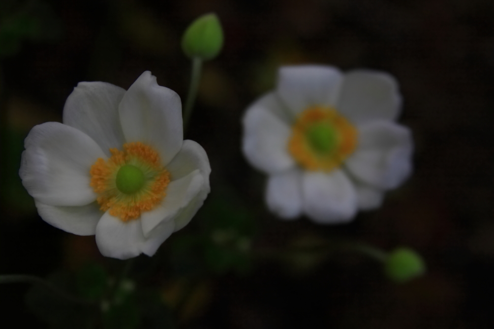 2010 10 13 IMG 11927
